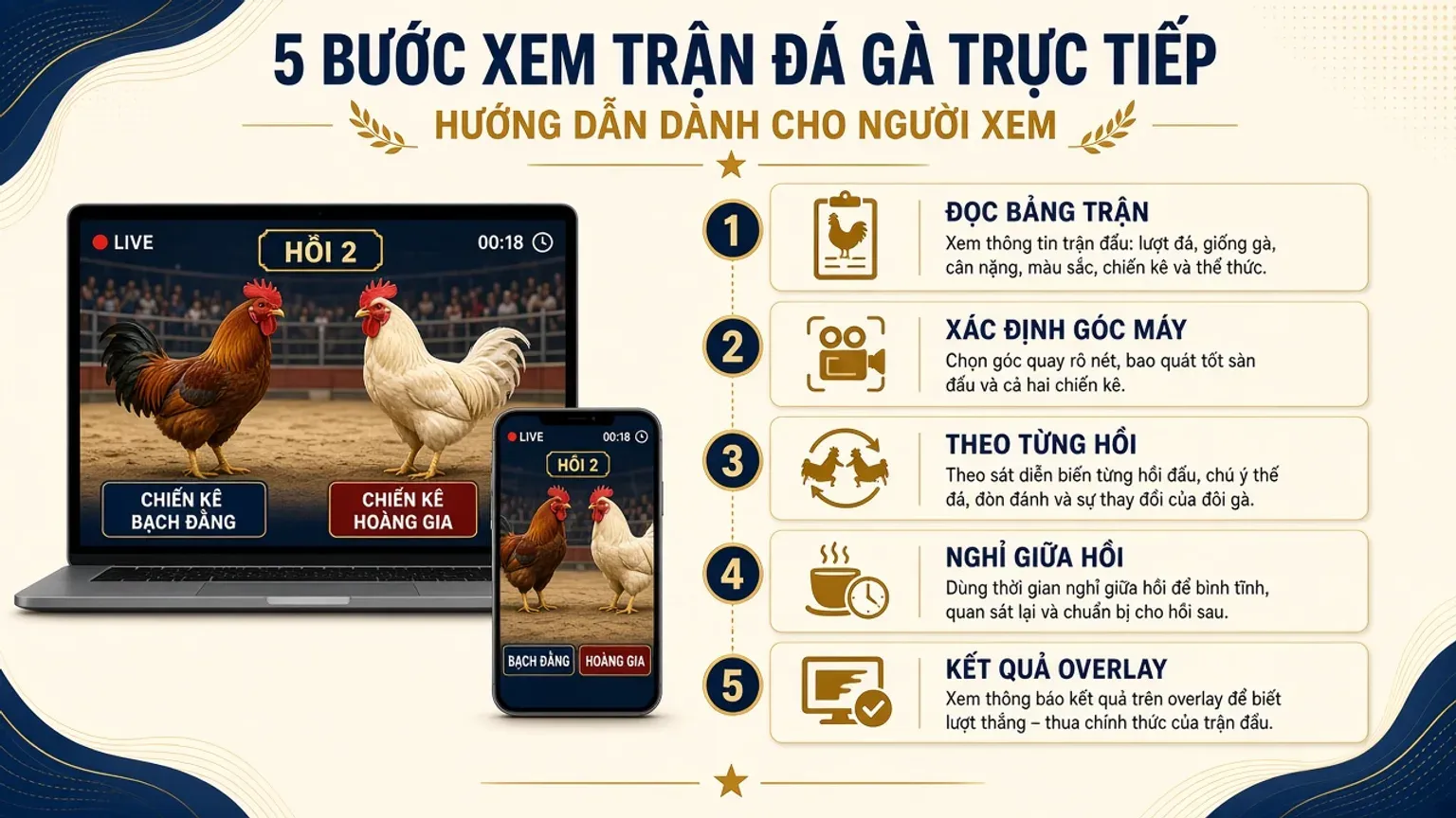 Các bước xem đá gà trực tiếp: đọc lịch trận, theo dõi từng hồi, đọc kết quả trên overlay